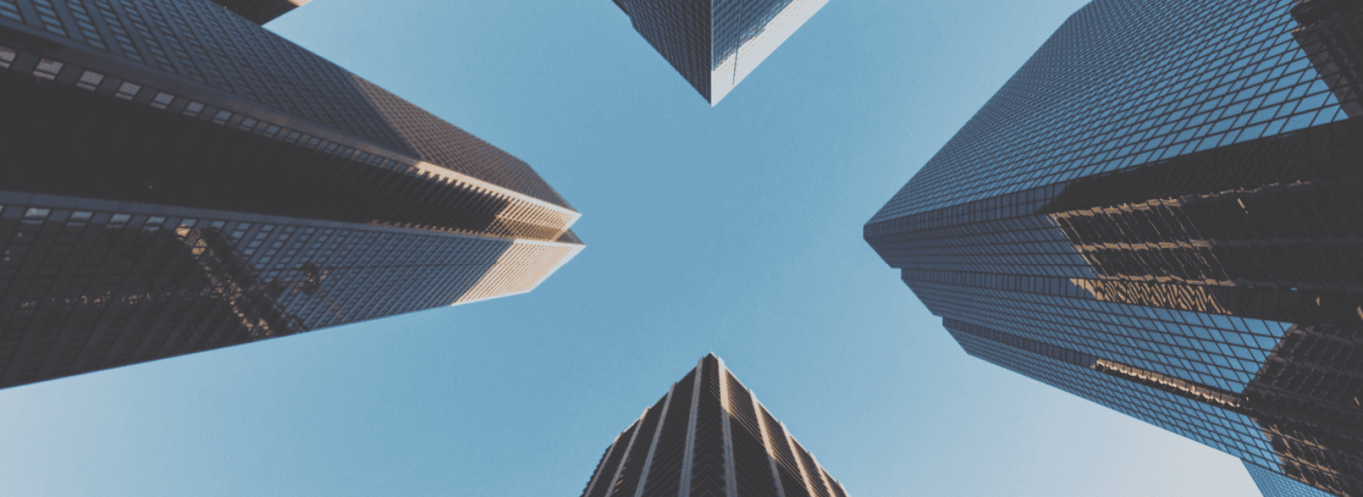 immobilien-entwicklung