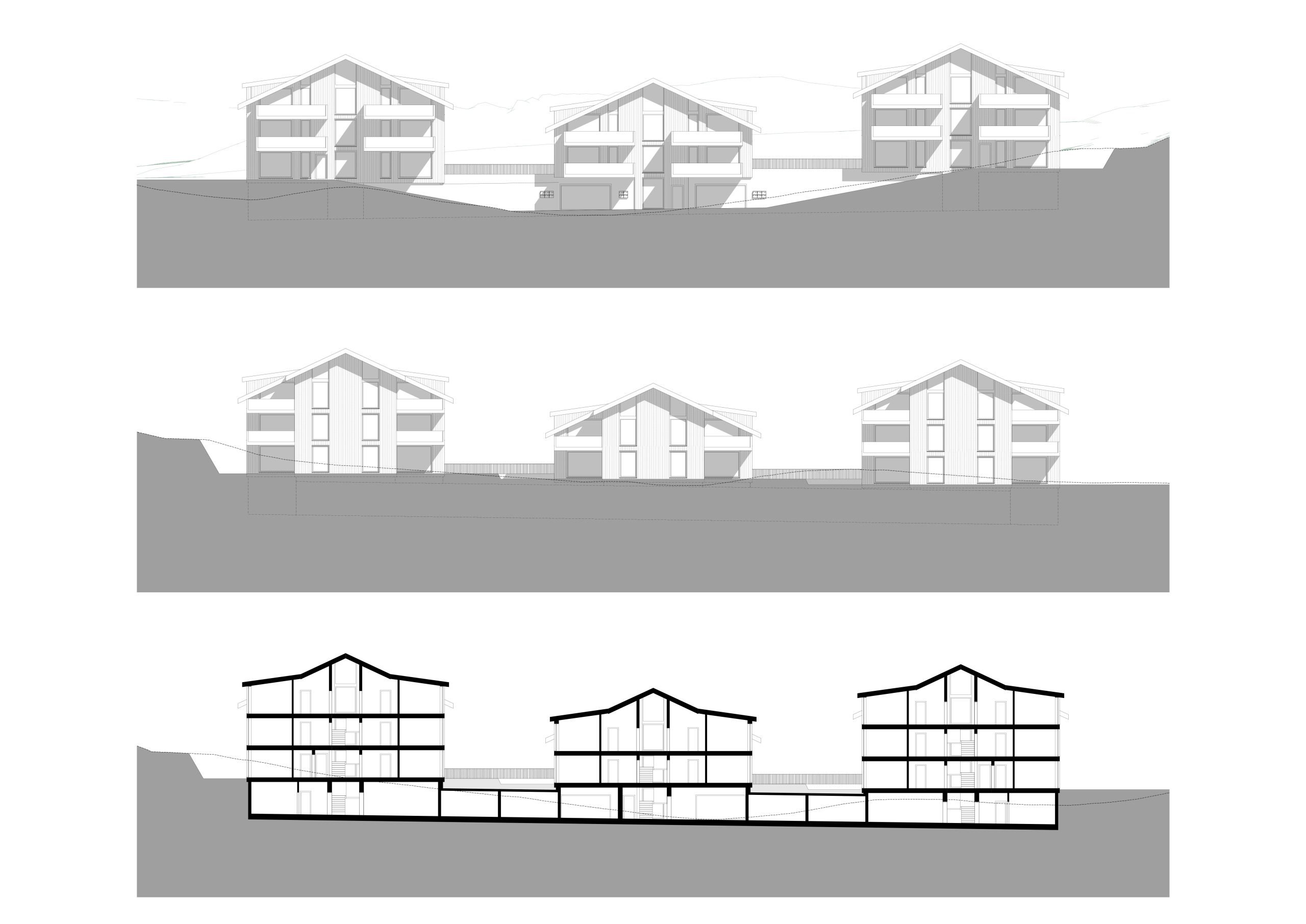 Neubau-Iseltwald-7
