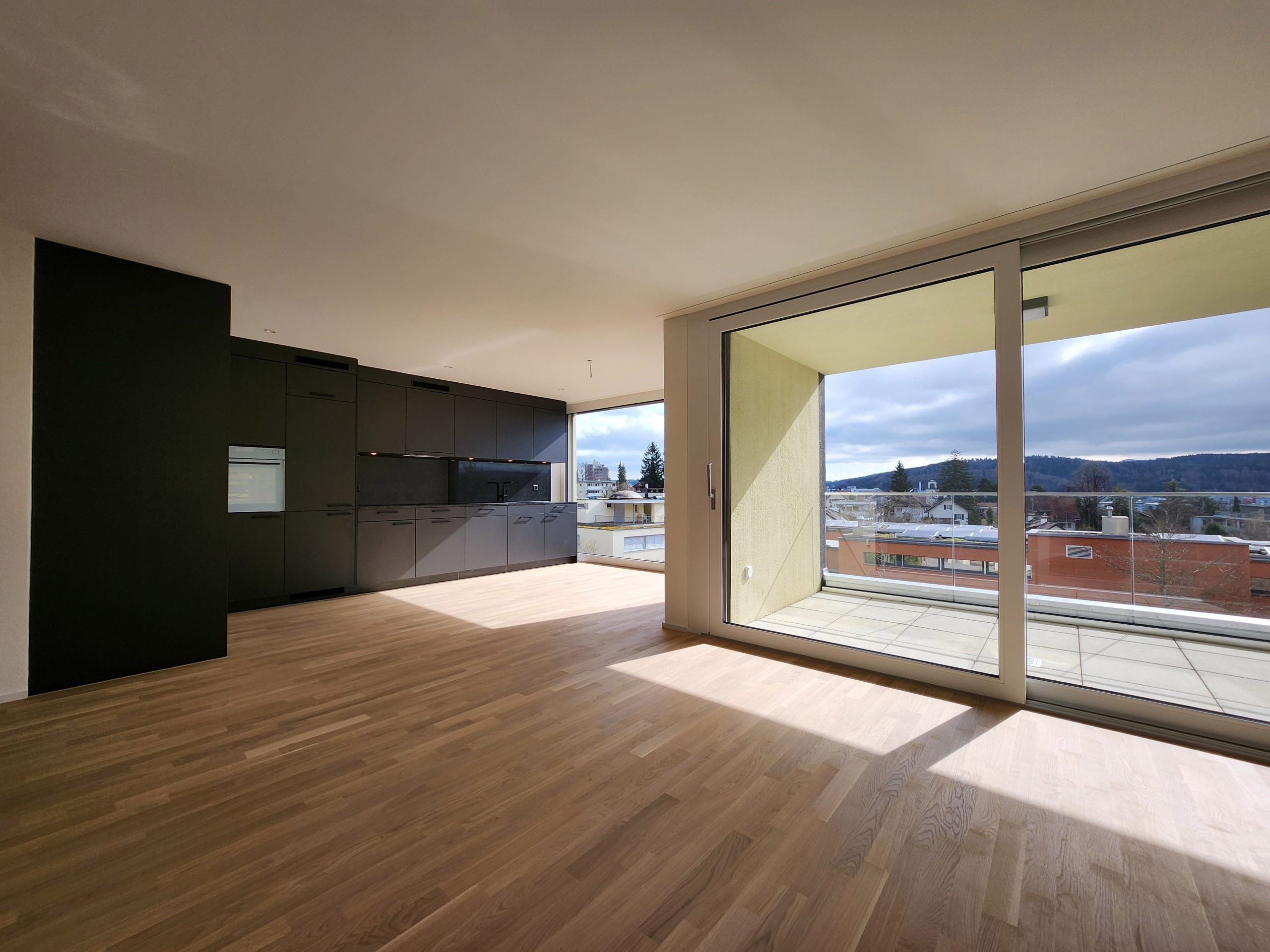 Neubau-Winterhur-17