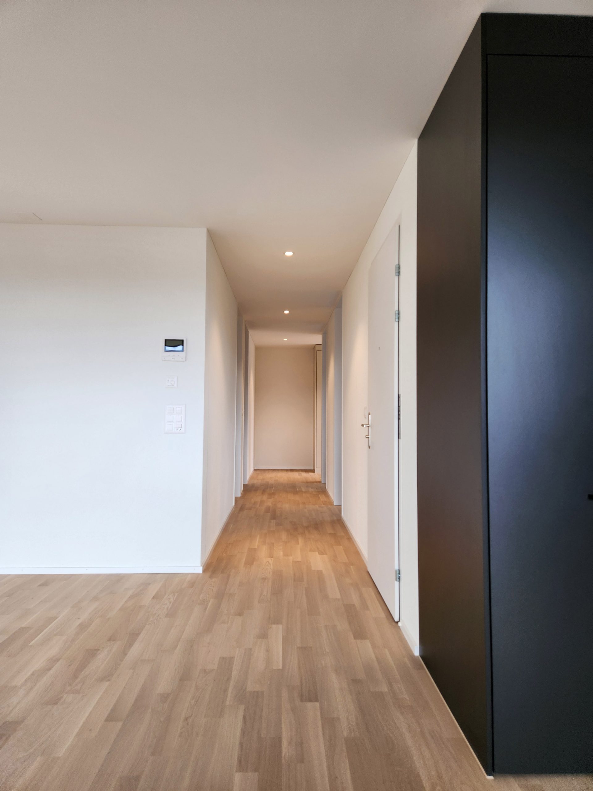Neubau-Winterhur-19